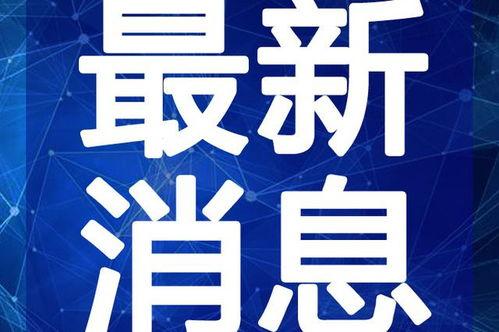 成都晚安爆料新闻最新视频,揭秘最新视频背后的惊人真相
